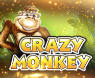 Crazy Monkey